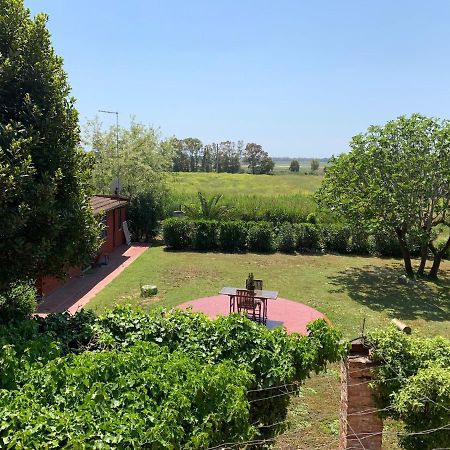 Casale degli Ulivi Maccarese Villa Le Cerquete Esterno foto