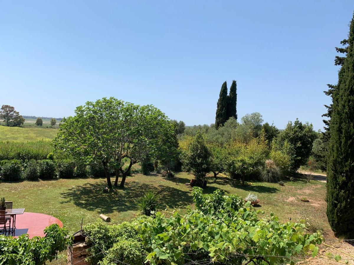 Casale degli Ulivi Maccarese Villa Le Cerquete Esterno foto