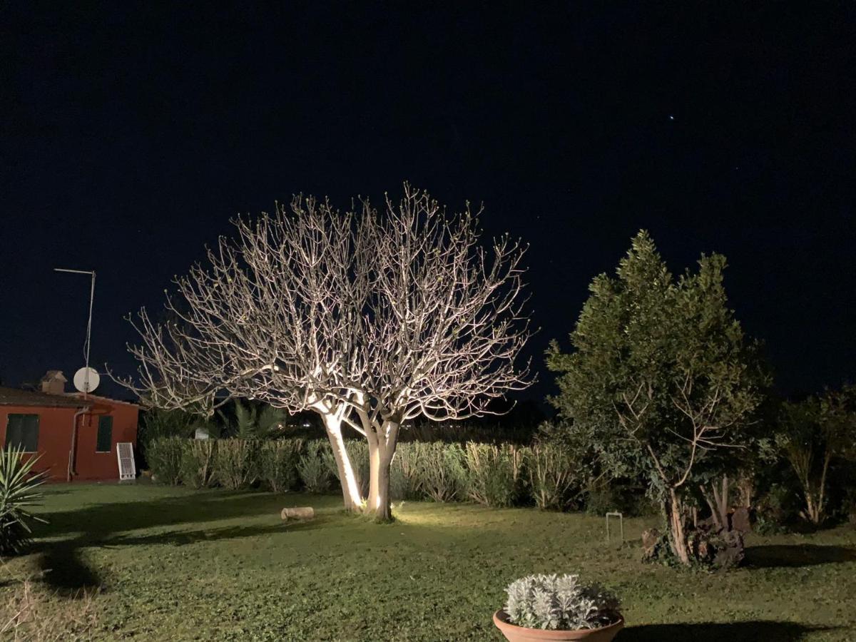 Casale degli Ulivi Maccarese Villa Le Cerquete Esterno foto