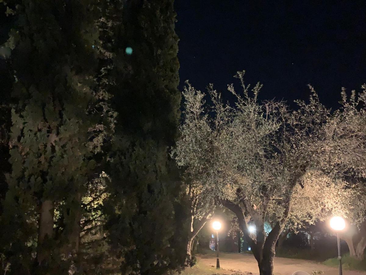Casale degli Ulivi Maccarese Villa Le Cerquete Esterno foto