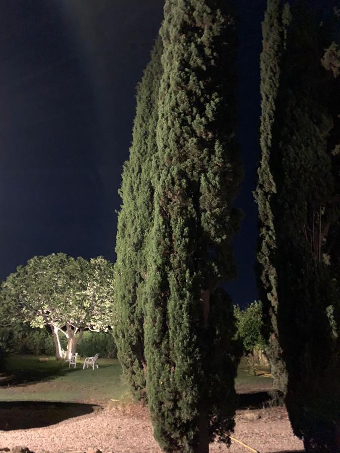 Casale degli Ulivi Maccarese Villa Le Cerquete Esterno foto
