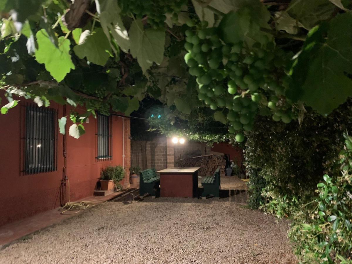 Casale degli Ulivi Maccarese Villa Le Cerquete Esterno foto
